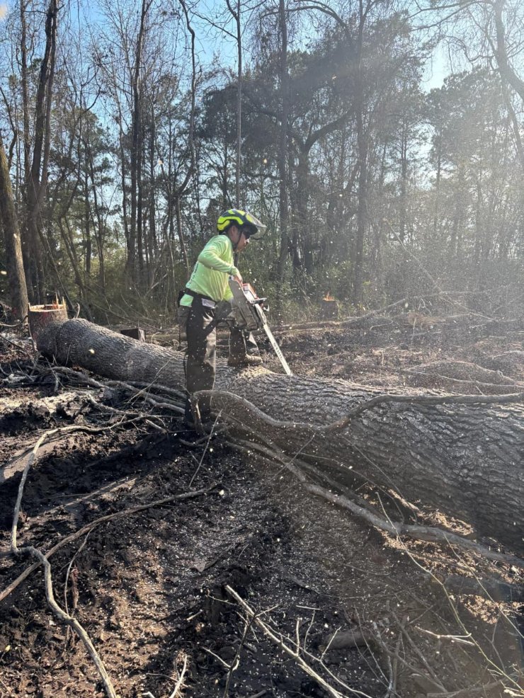Lion Tree Service and Landscaping LLC project photo 37